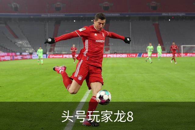 头号玩家龙8企业介绍图